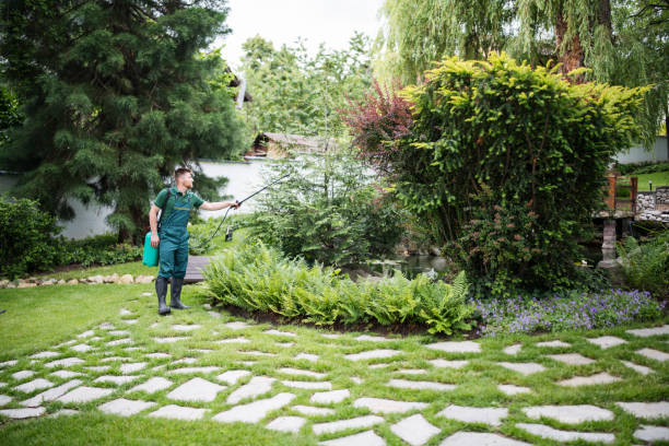Best Affordable Pest Control Services  in Richmond, VA