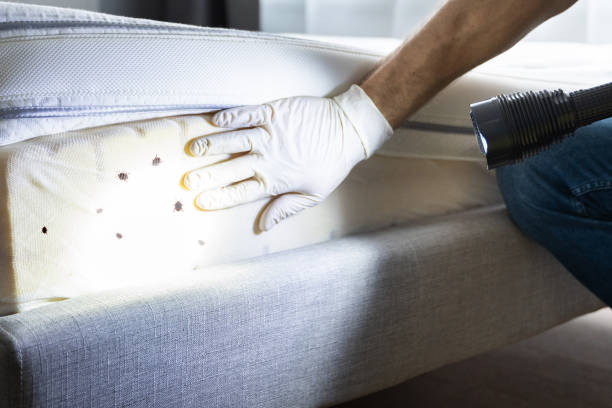 Best Pest Control Cost  in Richmond, VA