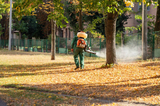 Best Local Pest Control Services  in Richmond, VA