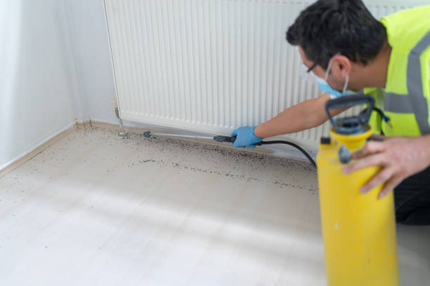 Best Exterminator Services  in Richmond, VA